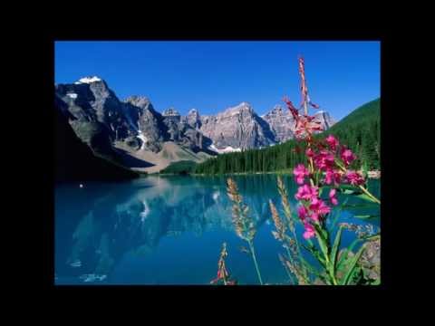 BEKHUDI VIDEO SONG | TERAA SURROOR | Himesh Reshammiya