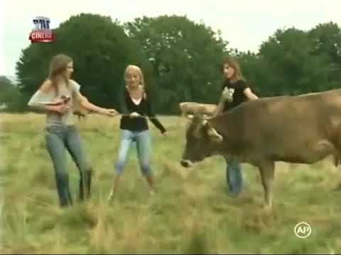 La Bloc - Bela e gravida