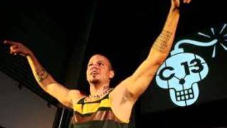 Gringo Latin Funk -Calle 13 -