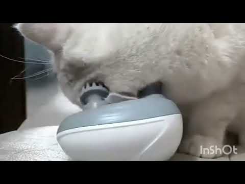 what a life 😂😂😂