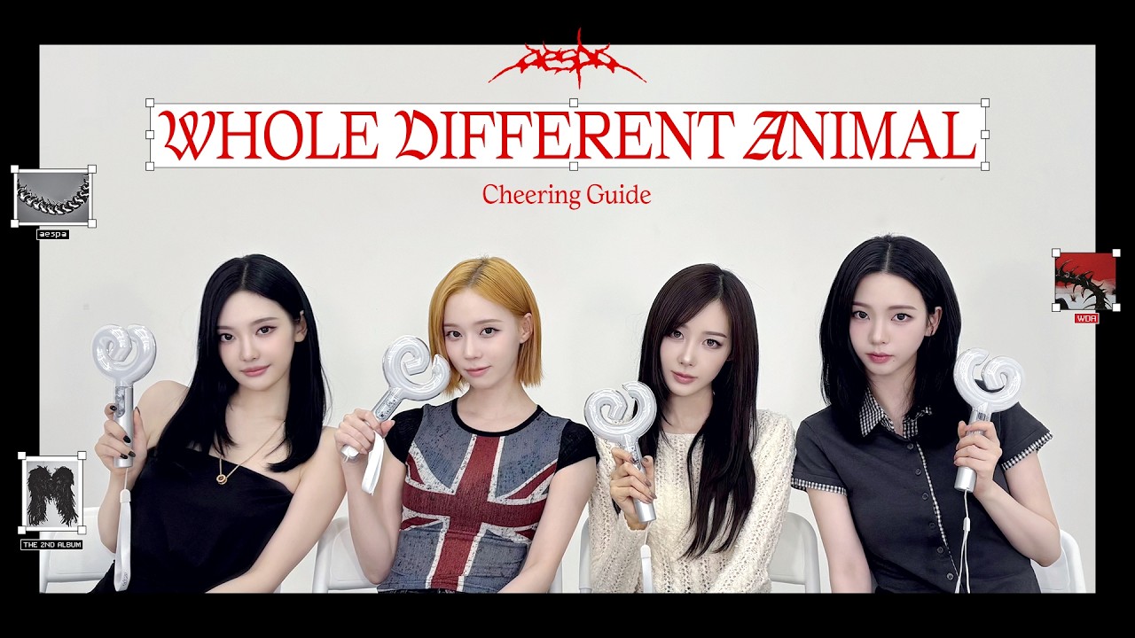 aespa 에스파 'WDA (Whole Different Animal)' Cheering Guide | 특이점을 넘어 더 완벽해진 MY 🩵💜
