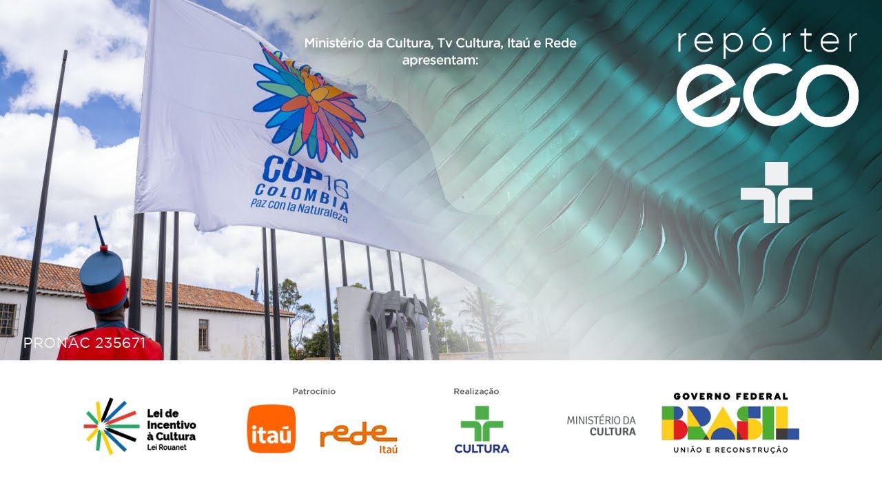 Repórter Eco | Biodiversidade é o tema da COP 16 na Colômbia | 20/10/2024