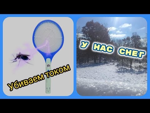 Супер мухобойка// Выпал снег// Проблема с цветами  #100