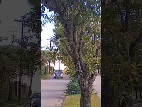 La Falda, Punilla, Córdoba, Argentina.#lafalda