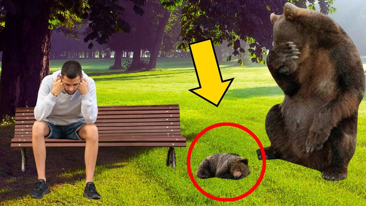 Mamá Osa herida le llevó su cachorro moribundo a este hombre, LO QUE PASÓ DESPUÉS TE HARÁ LLORAR