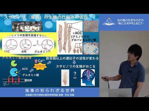 海藻が北極を暖かくしている