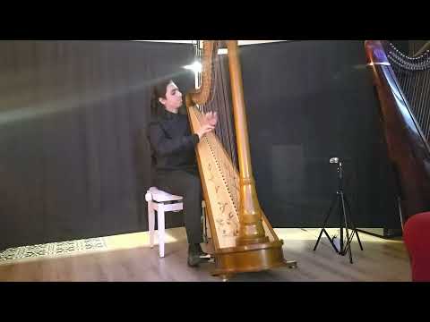 Concert Etude 4 by W. Posse performed by Zachary Checker 17 years old