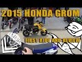 2015 Honda Grom First Ride and Review 