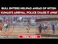 Bull Enters Helipad Ahead Of Nitish Kumar S Arrival Police Chase It Away