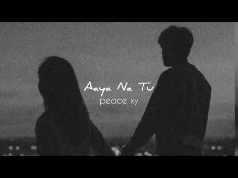 Aaya Na Tu (slowed+reverb)