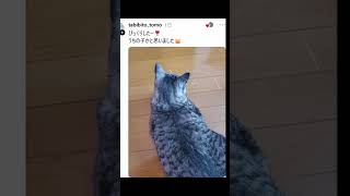 見える…見えるぞ！