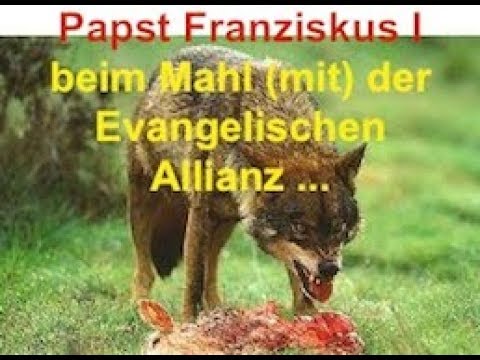 Evangelische Allianz, Teil 1 Eindrücke, Folgerungen