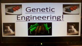 Cover art for genetic engineering