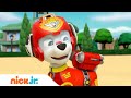 PAW Patrol Air Patroller Redding Op Een Vulkaan Nick Jr Nederland