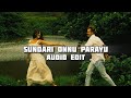 Sundari Onnu Parayu Lion Edit Audio
