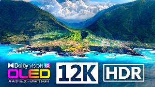 12K HDR 60FPS | Nature Without Limits | Earth’s Untamed OLED TV | Dolby Atmos • IMAX Enhanced