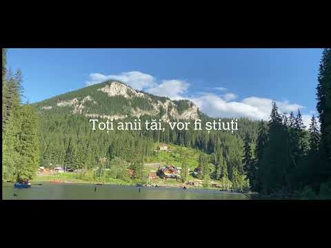 Onisim Grab - Se duc, se duc, și anii tăi 