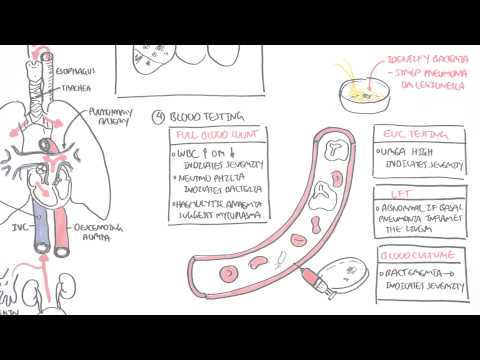 Cancer Introduction I