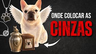 O QUE FAZER COM AS CINZAS DO SEU CACHORRO