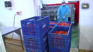 preview picture of video 'HDL Investigadores andaluces generan bioplástico con residuos del cangrejo rojo del Guadalquivir'
