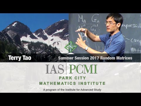 Terry Tao (2.1) Universality for random matrix ensembles of Wigner type, part 2.1
