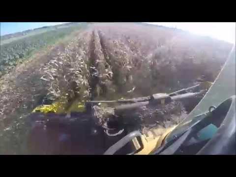 Maïs dorsen 2014 - Vereecke Hooglede