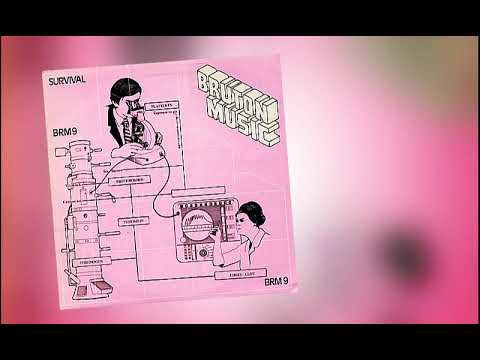 Bruton Music - Survival (1981 - BRM9)