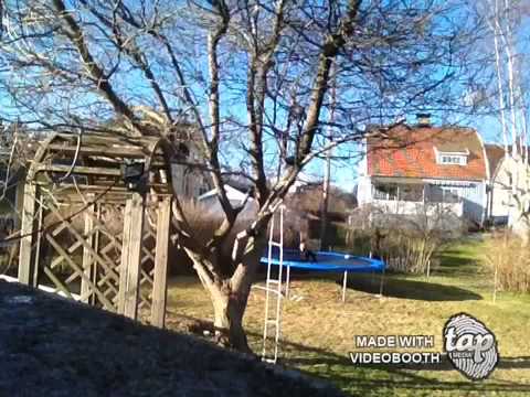 Hoppar studsmatta !😘