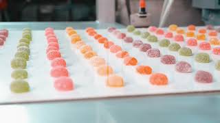 Linija za izdelovanje bonbonov Full Automatic Jelly Candy Production Line naprodaj - Slika 4 | Machineryline SI Nova linija za izdelovanje bonbonov Full Automatic Jelly Candy Production Line | Slika 4 - Machineryline