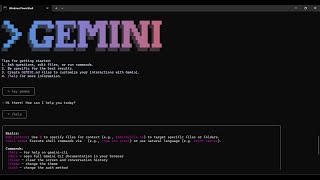 I Vibe Coded My Website Landing Page | Gemini CLI | Docusaurus | VS Co