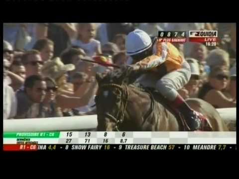 Danedream Arc 2011: Manfred Chapman Rennkommentar