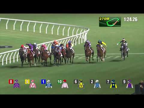 28/9/2022 (49) Seaweed Fortune - Vincent Ho