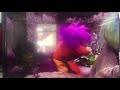 Later Red