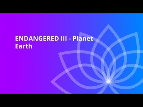 Humanity Rising Day 408: ENDANGERED III - Planet Earth