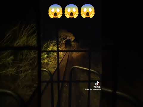 LINHA DE TREM ABANDONADA 😱😱