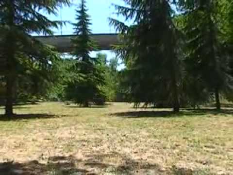 ONDA TG 11.04.2013 - DELIBERE COMMISSARIO AREA MERCATO E PARCO FLUVIALE