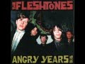 The Fleshtones - 5 New Fleshtones