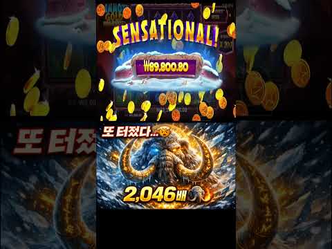 2,046배?! ❄