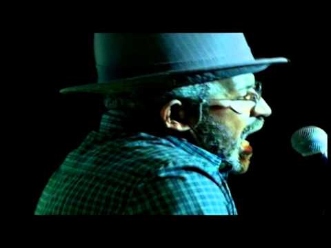 MULHER ABELHA (DVD O ILUMINADO)