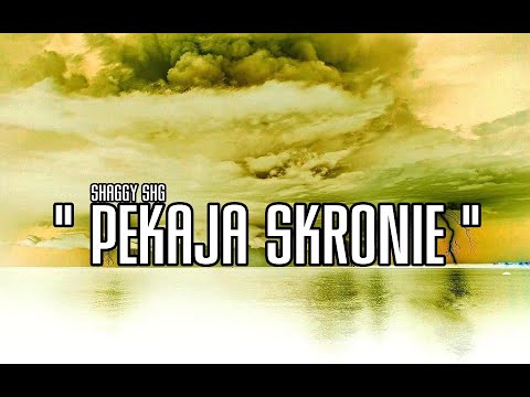 SHAGGY SHG - PĘKAJĄ SKRONIE (2021)
