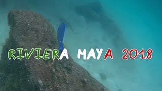 preview picture of video 'Riviera Maya 2018'