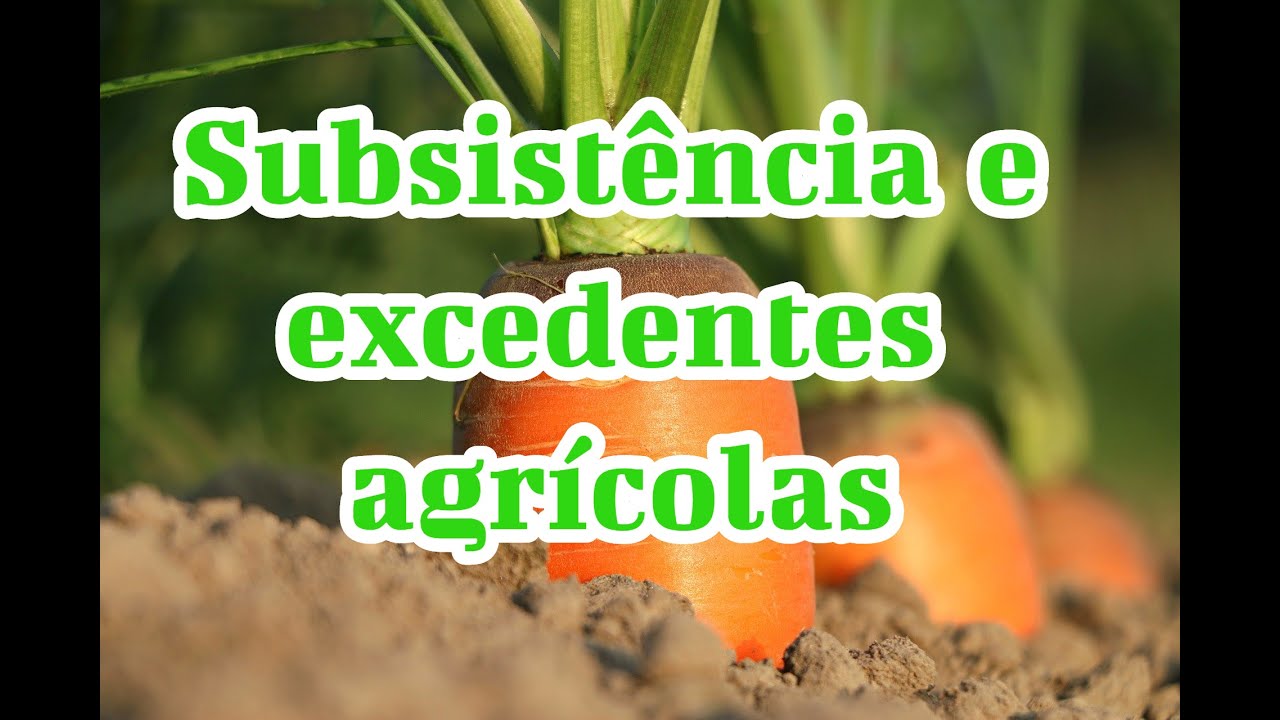 SUBSISTÊNCIA E EXCEDENTES AGRÍCOLAS: O QUE SÃO | EF07GE06 | ENSINO FUNDAMENTAL