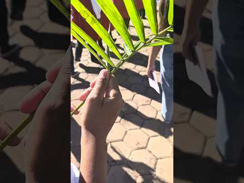 Jesus: Ele Vive! Semana Santa em Itamonte #fe #páscoa