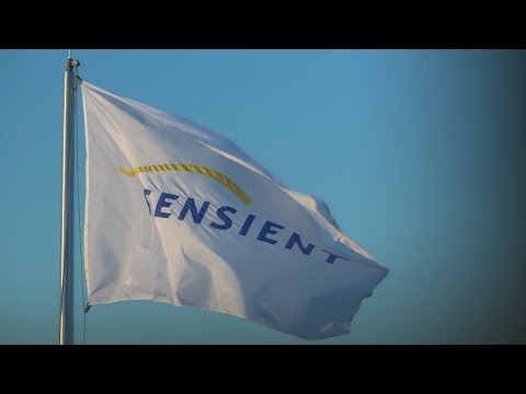 What is Sensient?