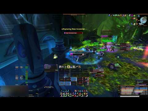illionaire vs The Desolate Host Mythic - Restoration Druid PoV