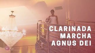 Grupo Bel Canto - Orquestra e Coral - Música de casamento Belo Horizonte