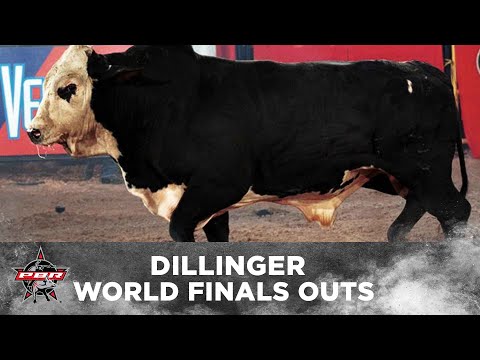 The FIRST Back-to-Back World Champion BUCKING BULL: Dillinger