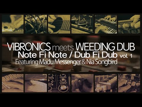 Vibronics meets Weeding Dub "Hard Living / Never Lie Down" feat. Nia Songbird & Madu Messenger
