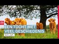Nieuwe wandelroute voor liefhebbers & de 4 Mijl van Assen | Drenthe Nu