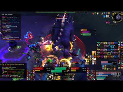 Heroic Shad-har the Insatiable vs Profit: Ny'alotha, the Waking City (Holy Paladin PoV)